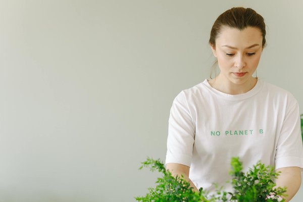 Verdomme Chileense Peso Baart Misdaad-Aangedreven Draait En Hoer Winsten — Dutch   Start Spinning